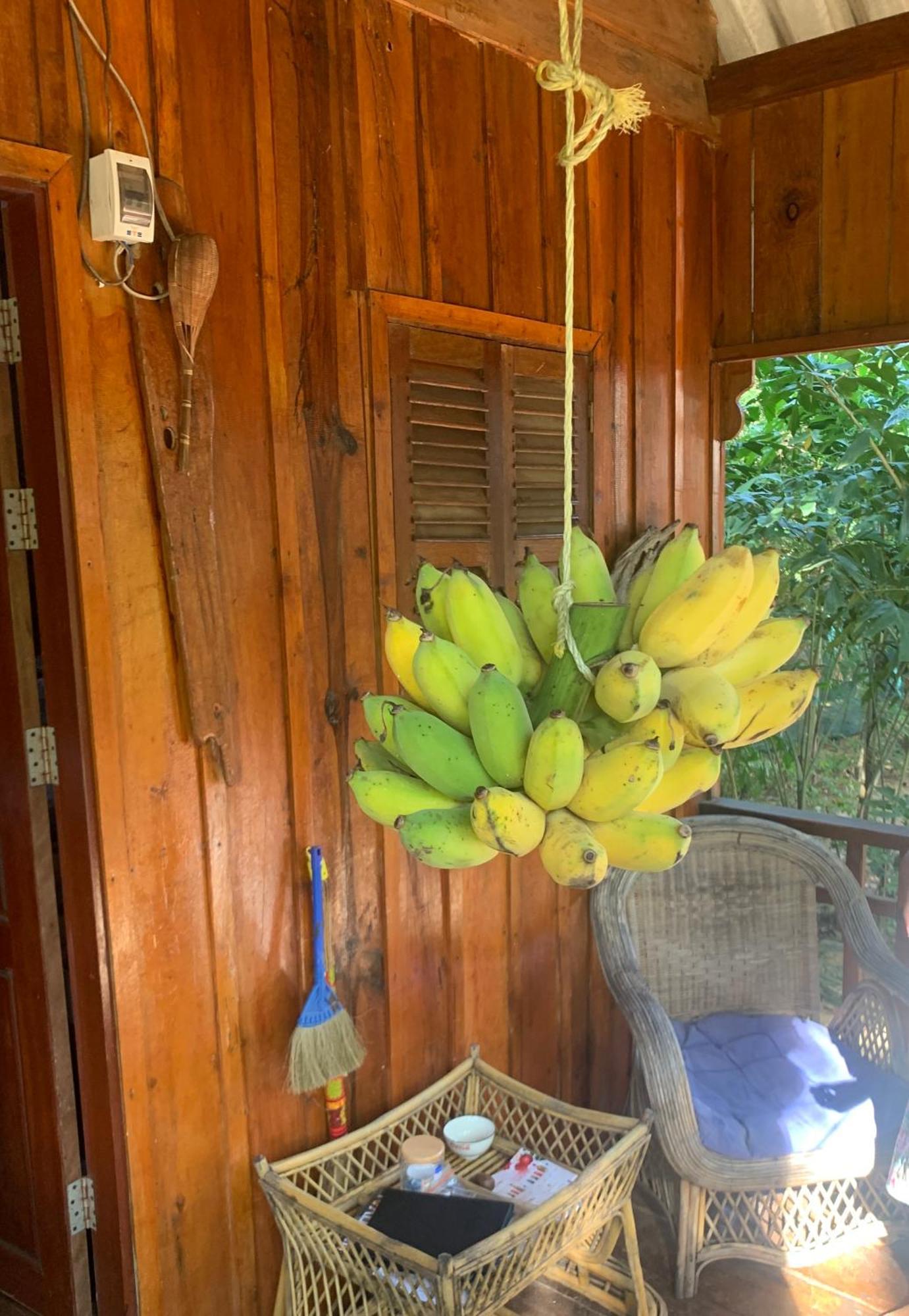 Easy Tiger - M'Pai Bay Beach, Koh Rong Sanloem Exterior photo